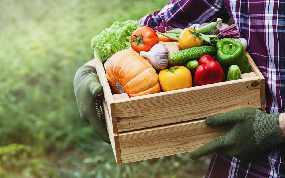 iStock-1162332668